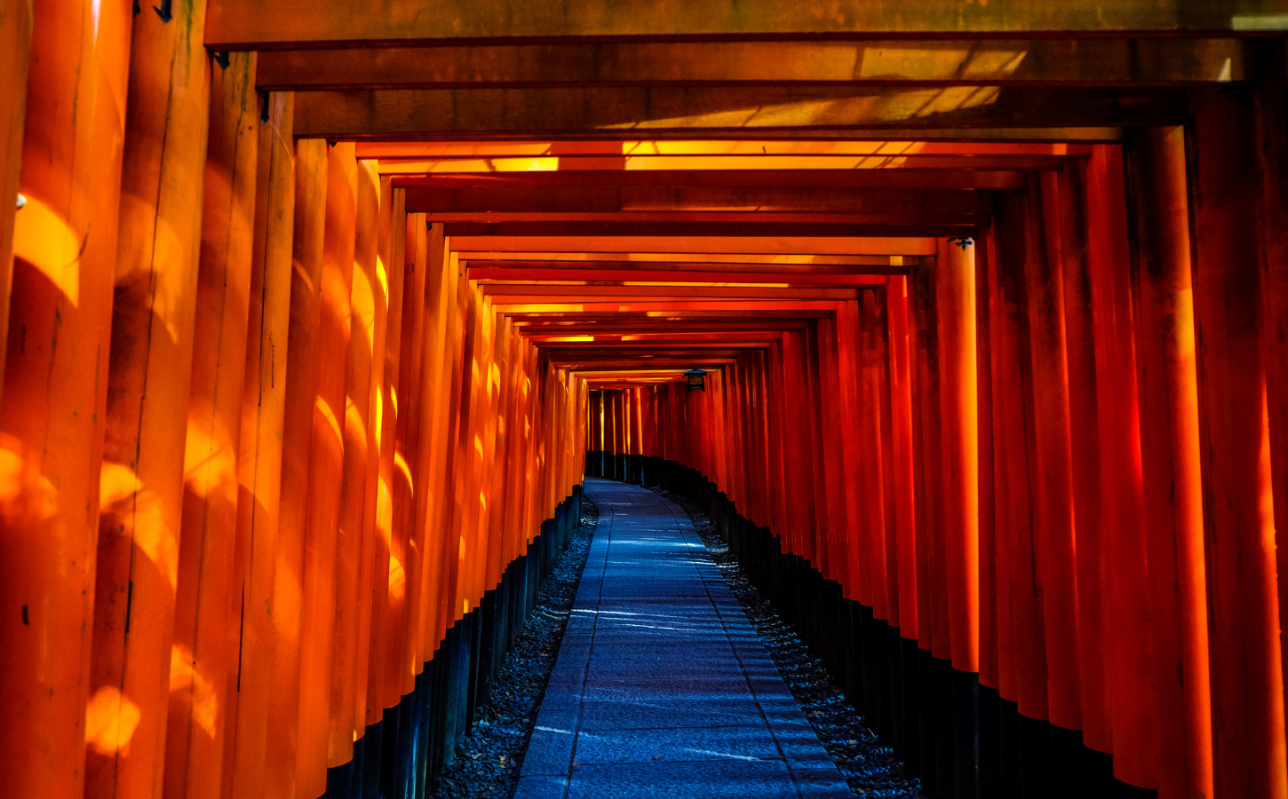 サービス1の画像