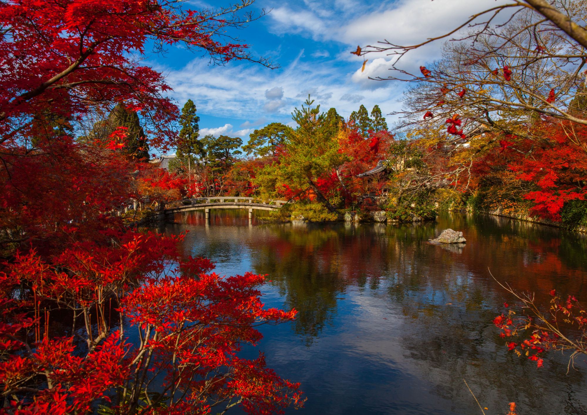 サービス1の画像