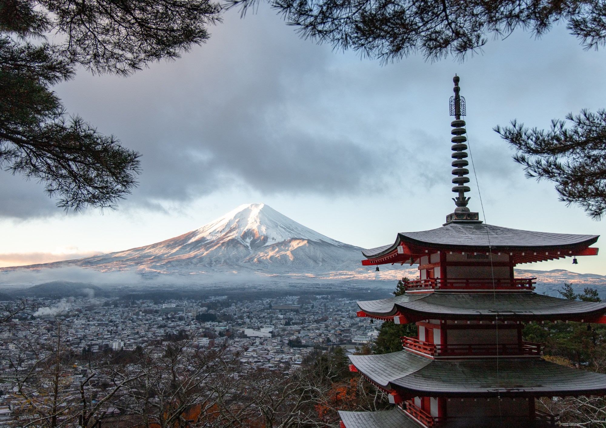 サービス1の画像